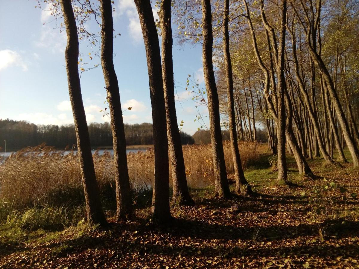 Domki Wczasowe Mazury - Ferienhaus Masuren - Do 12 Osob - Idealny Dla Grup Dluzek Eksteriør billede